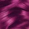 Fiesta Fuchsia